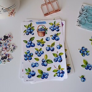 May include: A white sticker sheet featuring various watercolor illustrations of blueberries with green leaves, including a small woven basket filled with blueberries and the text Blueberry printed in blue at the top center of the sheet.