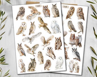 Owl Stickers. British Garden Birds Stickers. Planner, Journal, Scrapbooking