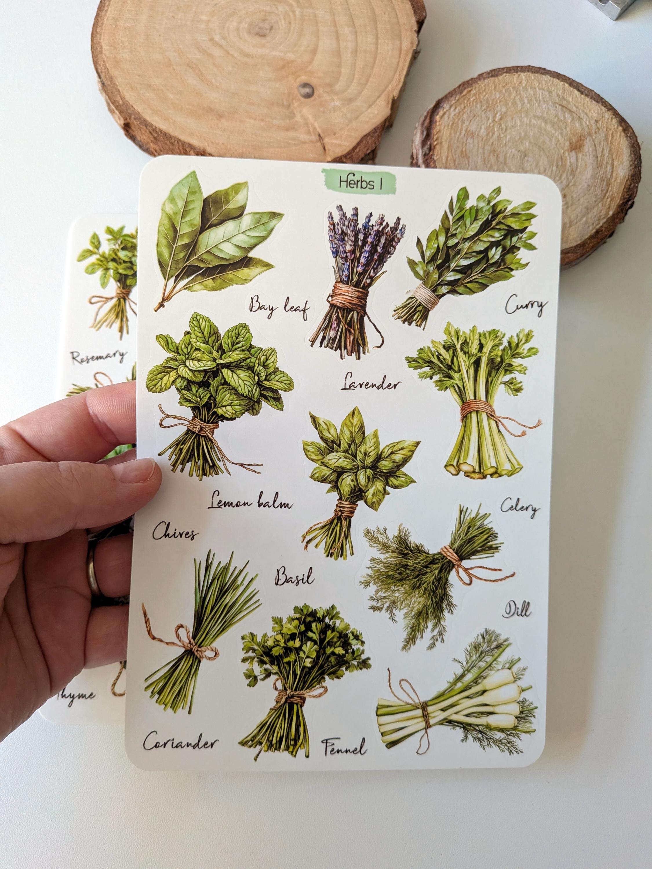 Herbs Stickers. Cottagecore Scrapbook Planner Stickers. Kitchen Spices ...