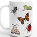 see more listings in the TAZAS de 15 oz section