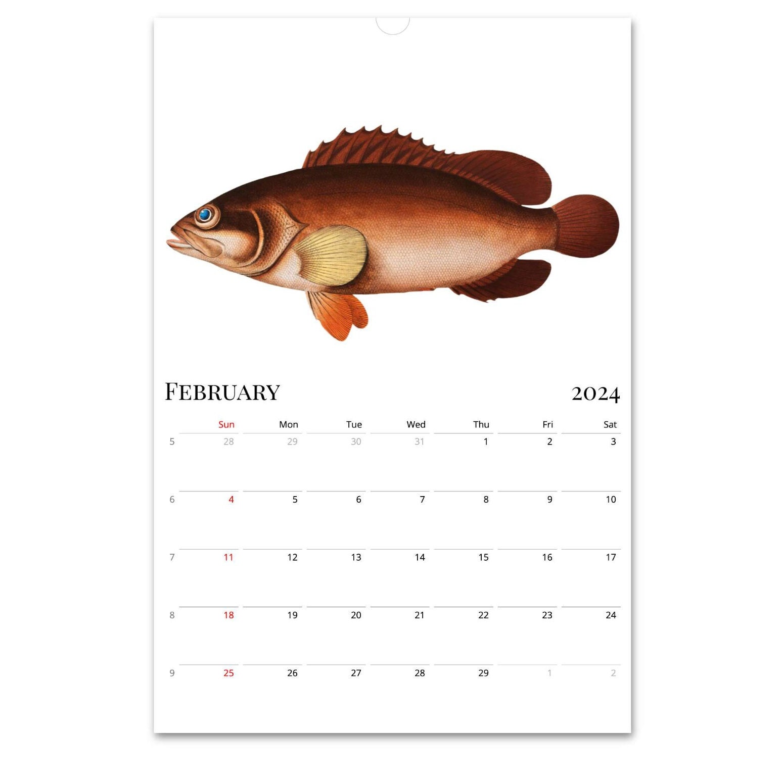 2024 Wall Calendar, Fish Calendar, Retro Calendar, Hanging Calendar