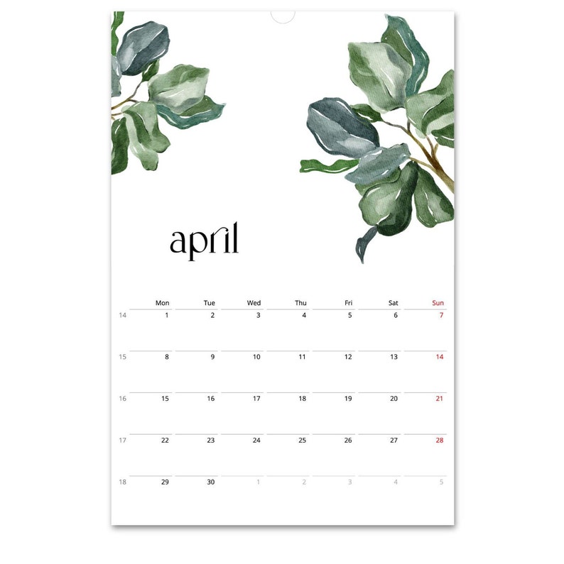 Calendario 2024, Calendario Botánico, Calendario Vegetal, Calendario de Hojas, Calendario Tropical, Calendario de Pared 2024, Decoración de Pared Botánica, En Blanco, A3 imagen 3