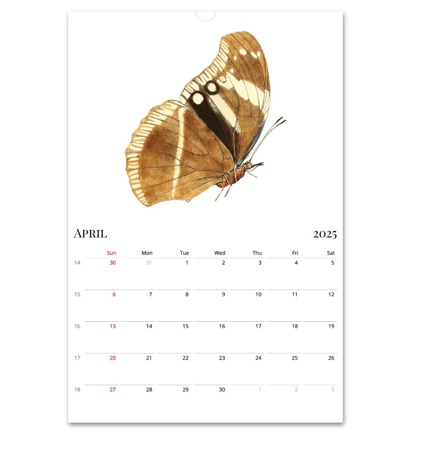 2026 2027 Calendar, Butterfly Calendar, Blank Calendar, Retro Calendar ...