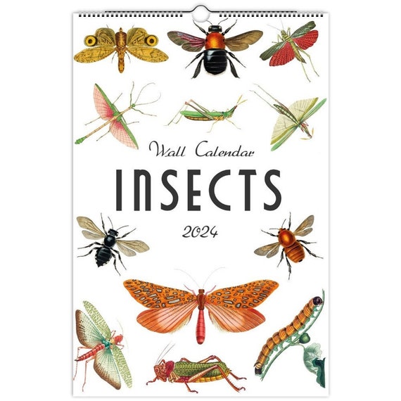 2025 Insect Calendar Lizzy Querida