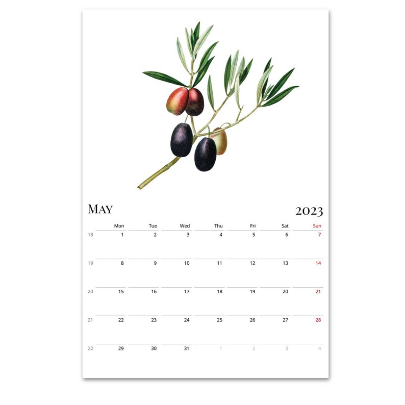 2022 2023 Midyear Calendar Fruit Wall Calendar Academic Etsy Ireland