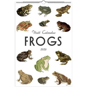 2026 Wall Calendar, Frog Calendar, Retro Calendar, Herpetology Calendar, Mid Year Calendar, Blank Calendar, Hanging Calendar, Monthly, Blank