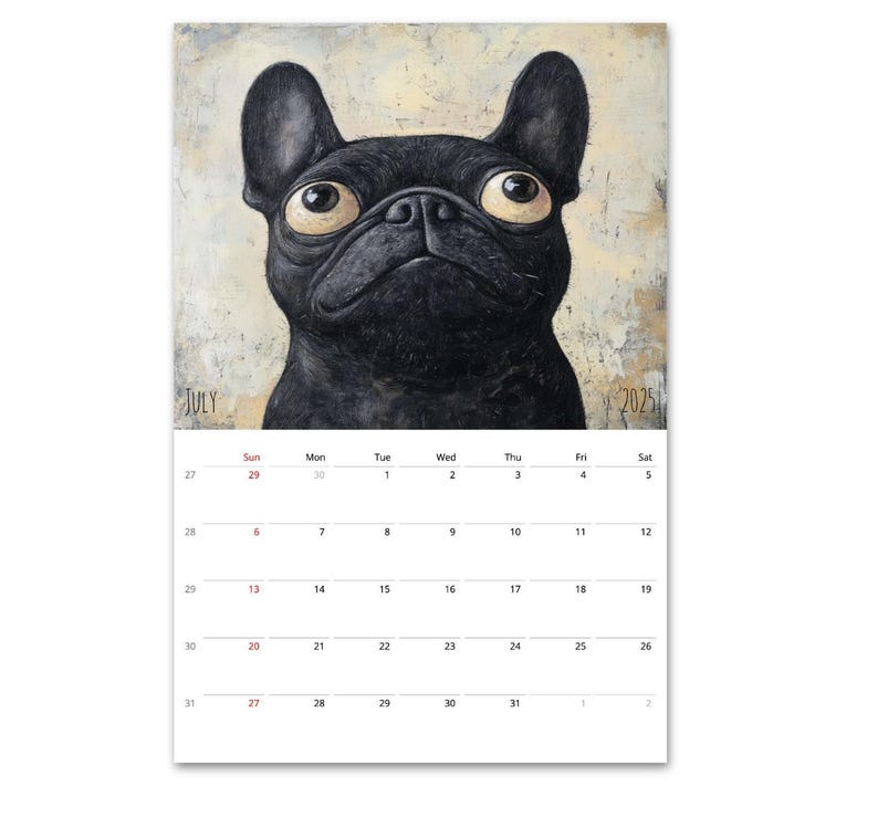 May include: A July 2025 calendar featuring a black French bulldog with large, expressive eyes. The dog is looking up at the viewer. The calendar is printed on a textured background.