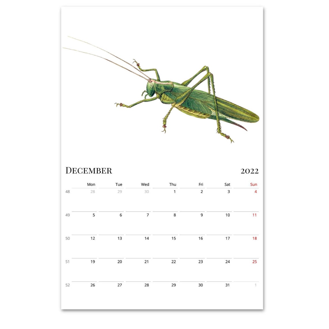 2022 2023 Mid Year Calendar Insect Wall Calendar Bug Etsy