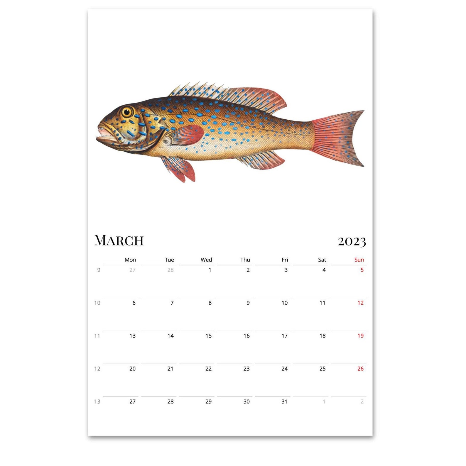 2022 2023 MidYear Calendar Fish Wall Calendar Retro Etsy België