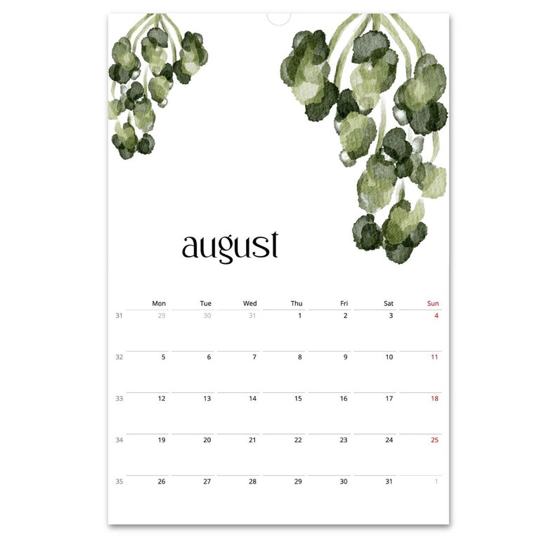 Calendario 2024, Calendario Botánico, Calendario Vegetal, Calendario de Hojas, Calendario Tropical, Calendario de Pared 2024, Decoración de Pared Botánica, En Blanco, A3 imagen 5