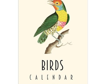 2026 2027 Wall Calendar, Birds Calendar, Retro Calendar, Ornithology Calendar, Hanging Calendar, Monthly Calendar, Planner A3, Blank