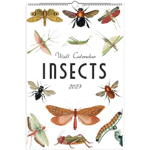 Peut inclure: Un calendrier mural 2027 intitulé Insects présentant diverses illustrations détaillées d'insectes, notamment des papillons, des sauterelles et des coléoptères sur un fond blanc. Le calendrier possède une reliure spirale en haut.