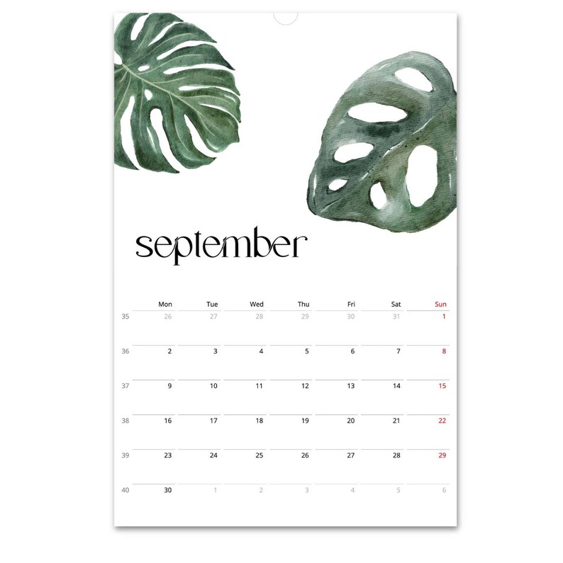 Calendario 2024, Calendario Botánico, Calendario Vegetal, Calendario de Hojas, Calendario Tropical, Calendario de Pared 2024, Decoración de Pared Botánica, En Blanco, A3 imagen 6