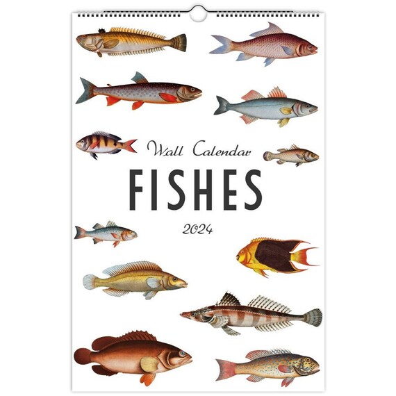 2024 Wall Calendar, Fish Calendar, Retro Calendar, Hanging Calendar,  Vertical Calendar, for Fisherman, Angler Calendar, Blank Calendar - Etsy