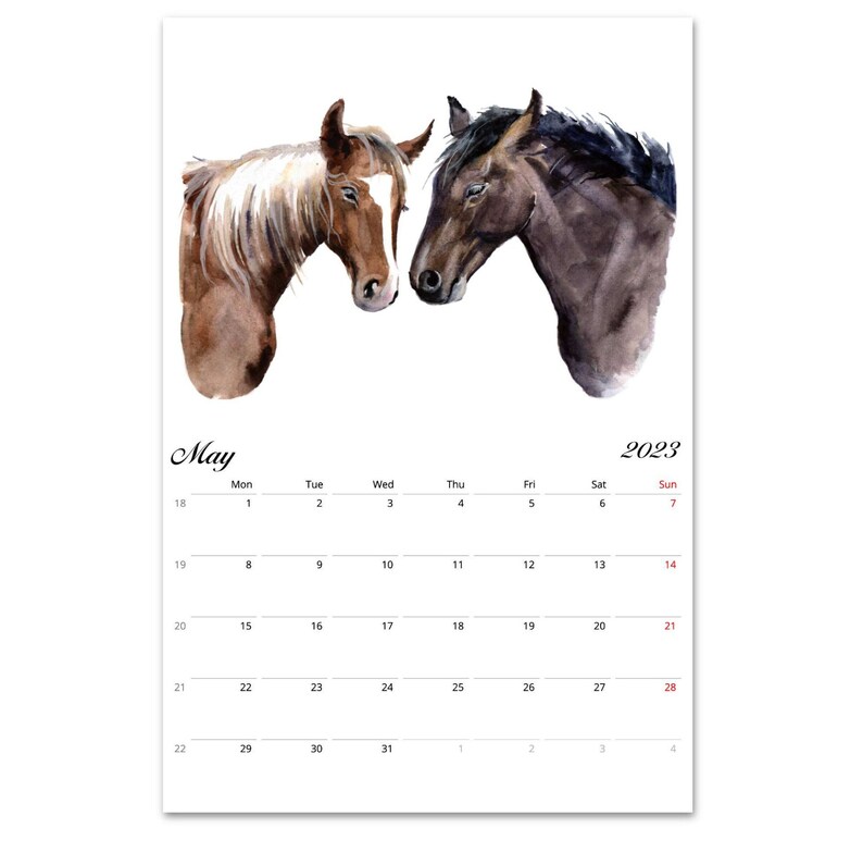 Horse Calendar 2023 2022 2023 Midyear Calendar Horse Wall Calendar Horse Riding Etsy