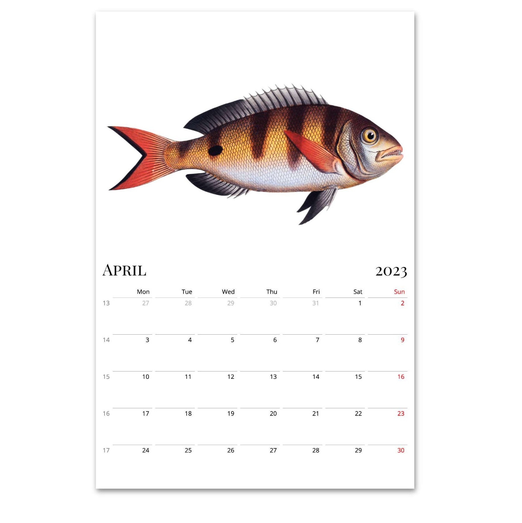 2022 2023 Midyear Calendar Fish Wall Calendar Retro Etsy Israel