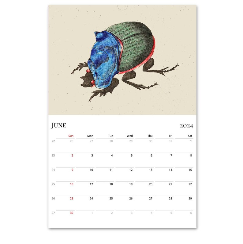 2024 Wall Calendar, Beetles Calendar, Bugs Calendar, Entomology