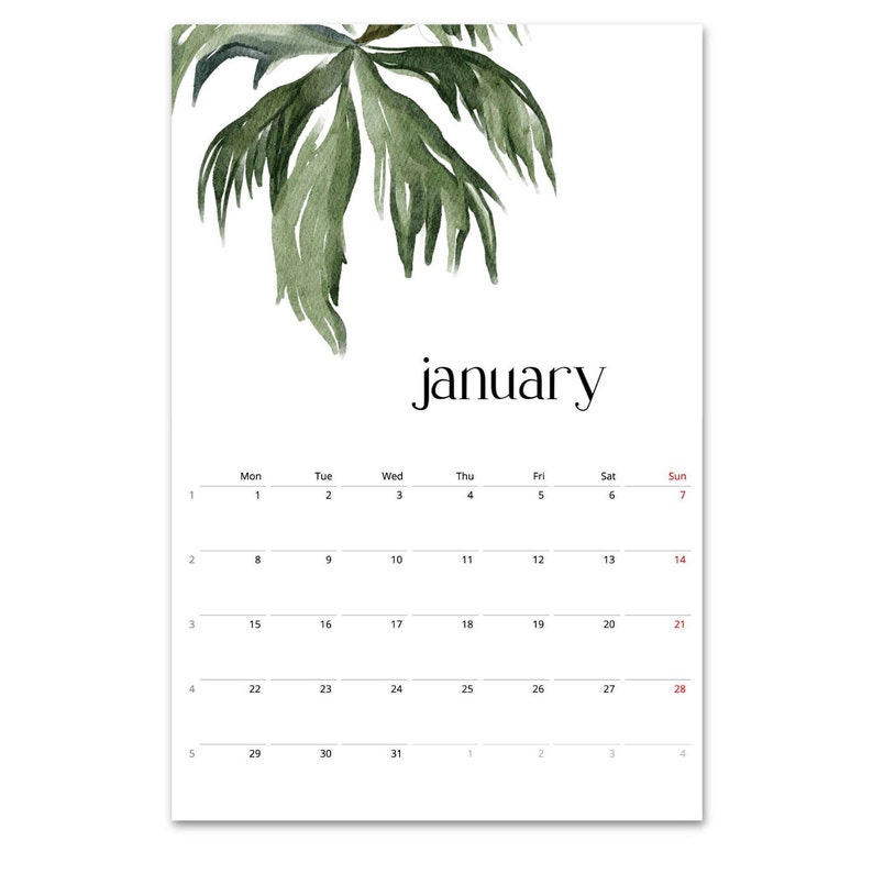 Calendario 2024, Calendario Botánico, Calendario Vegetal, Calendario de Hojas, Calendario Tropical, Calendario de Pared 2024, Decoración de Pared Botánica, En Blanco, A3 imagen 2