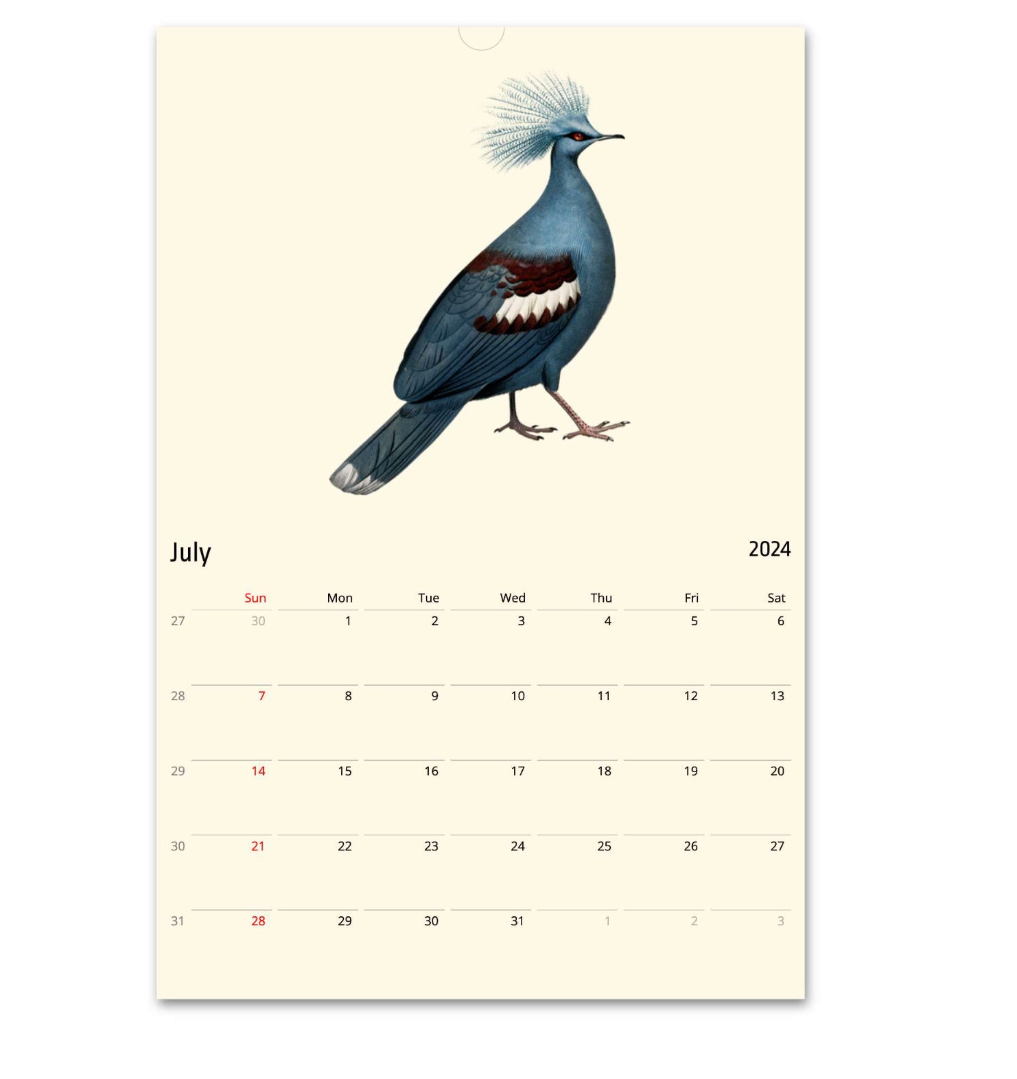2025 2025 Calendar, Birds Calendar, Retro Calendar, Ornithology