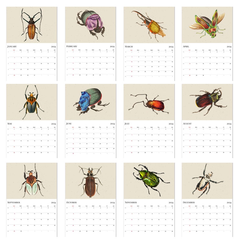 2024 Wall Calendar, Beetles Calendar, Bugs Calendar, Entomology