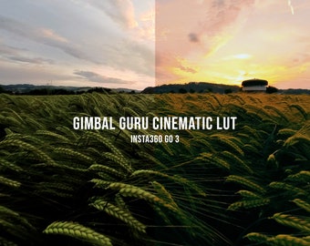Gimbal Guru Cinematic LUT för Insta360 GO 3