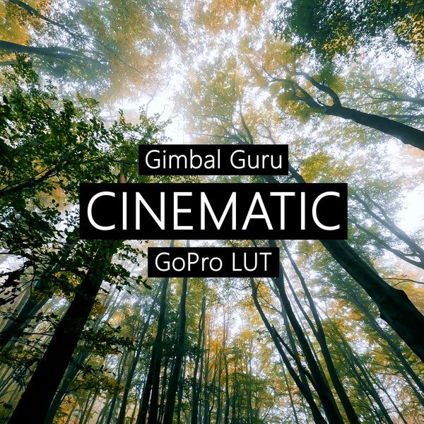 Gimbal Guru GoPro Cinematic LUT