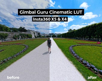 Gimbal Guru Cinematic LUT for Insta360 X5 & X4