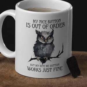 Funny Owl Mug, Owl Mug, Funny Coffee Mug, Owl Coffee Mug, Cute Owl Mug Gift, Gift Coffee Mug,  Irritable Owl Mug, Custom Owl Mug