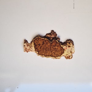 Live Edge Wood Slab, Burl Wood Slab