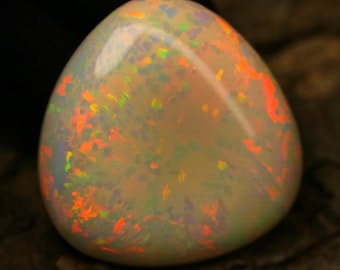 Natural Australian Opal big size Cabochon | 73.1 Carats, Trillion Shape, Multicolor Fire (37x11mm)