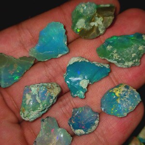 May include: A collection of raw opal gemstones in various shapes and sizes. The opals display a range of colors, including blues, greens, and flashes of iridescent hues. The rough texture of the stones is visible, showcasing their natural state.