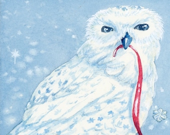 Winter Owl, Mini Print