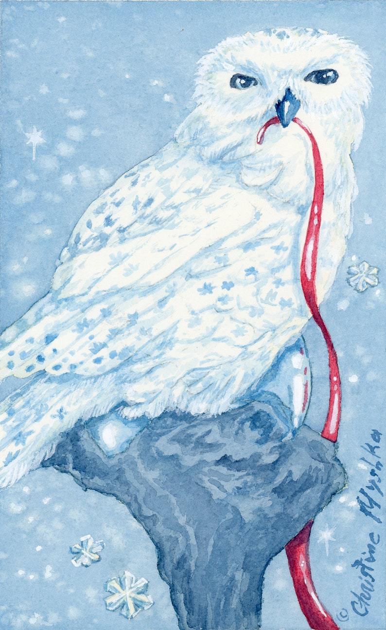 Winter Owl, Mini Print image 1
