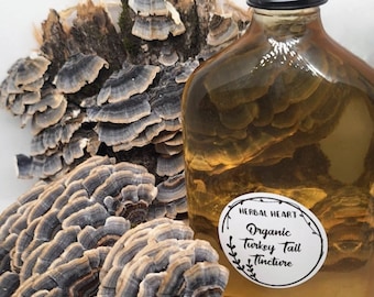 Double Extracted Organic Turkey Tail Tincture | Immune Support | Gut Health | Powerful Antioxidant |Wellness Support |Vitality and Longevity