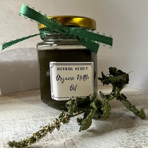 Organic Homemade Nettle Oil | Hair Growth | Anti-Aging | Dandruff | Wrinkle Care