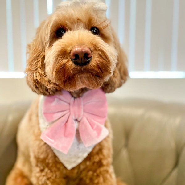 Pet collar bows / Dog collar bows/ pink dog accessories• dog bows• Dog collar bows