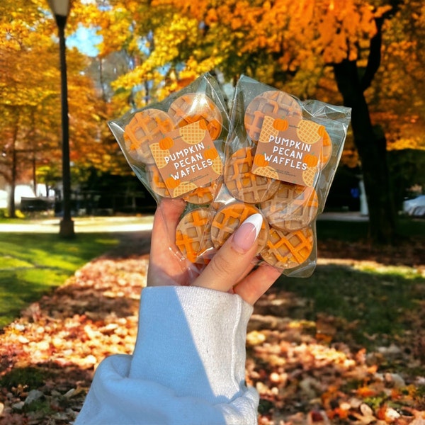 Pecan Pumpkin Waffles Soy Wax Melts (Fall Scents, Halloween, All Natural, Vegan, Gifts for Her, Autumn)