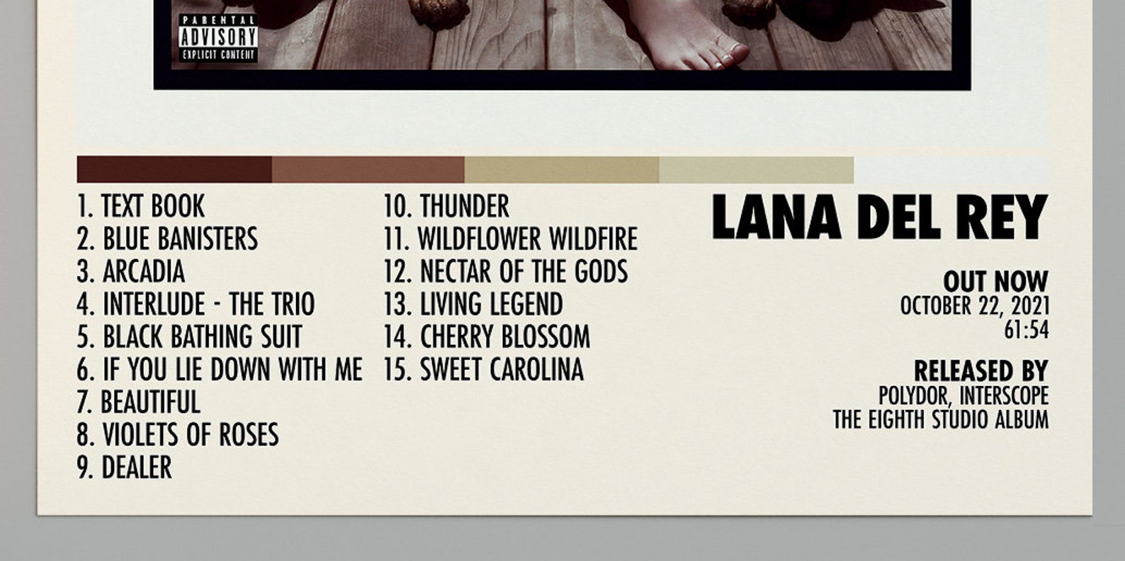 Lana Del Rey Poster Blue Banisters Poster Lana Del Rey Etsy