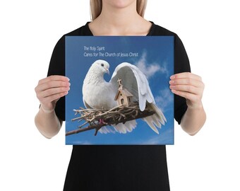 Puede incluir: Una paloma blanca con una pequeña casa en su espalda se sienta en un nido en una rama contra un cielo azul. El texto "The Holy Spirit Cares for the Church of Jesus Christ" está impreso en la imagen.