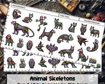 Animal Skeletons - Personalize Your Diorama, Car, Truck, Derby Car or Any Project