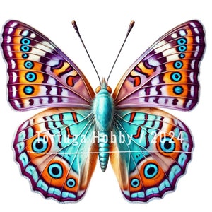 Beautifully Colored Butterflies - Digital Art for Your Next Project - Commercial Use OK