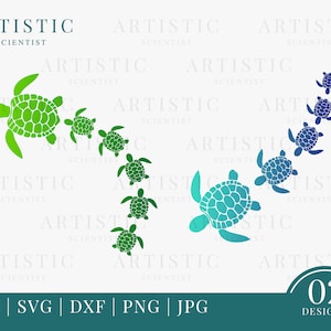 Turtle Family Svg, Sea Turtle Svg, Sea Turtle Png, Summer Svg, Sea Animals Svg, Beach Shirt Svg, Tortoise Svg, Tropical Ocean Hawaiian SVG