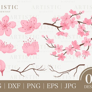 桜 SVG、桜 SVG、桜 PNG、ピンクの花の木の枝 SVG、花びら SVG、日本の桜 SVG、花柄の花のステッカー