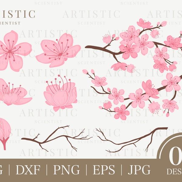 Kirschblüten-Svg, Sakura-Svg, Kirschblüten-Png, rosa Blume Ast-Svg, Blütenblatt-Svg, Japan Sakura-Svg, Blumenblumen-Aufkleber