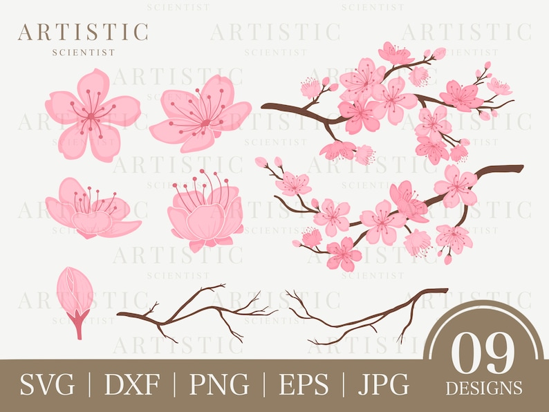Cherry Blossom Svg, Sakura Svg, Cherry Blossom Png, Pink Flower Tree Branch Svg, Flower Petal Svg, Japan Sakura Svg, Floral Flower Sticker image 1