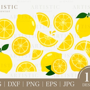 Zitrone, Zitrone, Png, Zitrone Bundle, Lemonade, Sommer Obst, Tequila, Zitrone