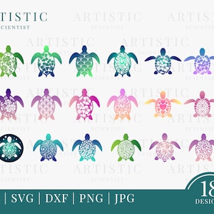 Floral Pattern Turtle Svg, Mandala Turtle Svg, Sea Turtle Svg, Turtle Png, Sea Animals Svg, Turtle Silhouette Svg, Hawaiian Clipart