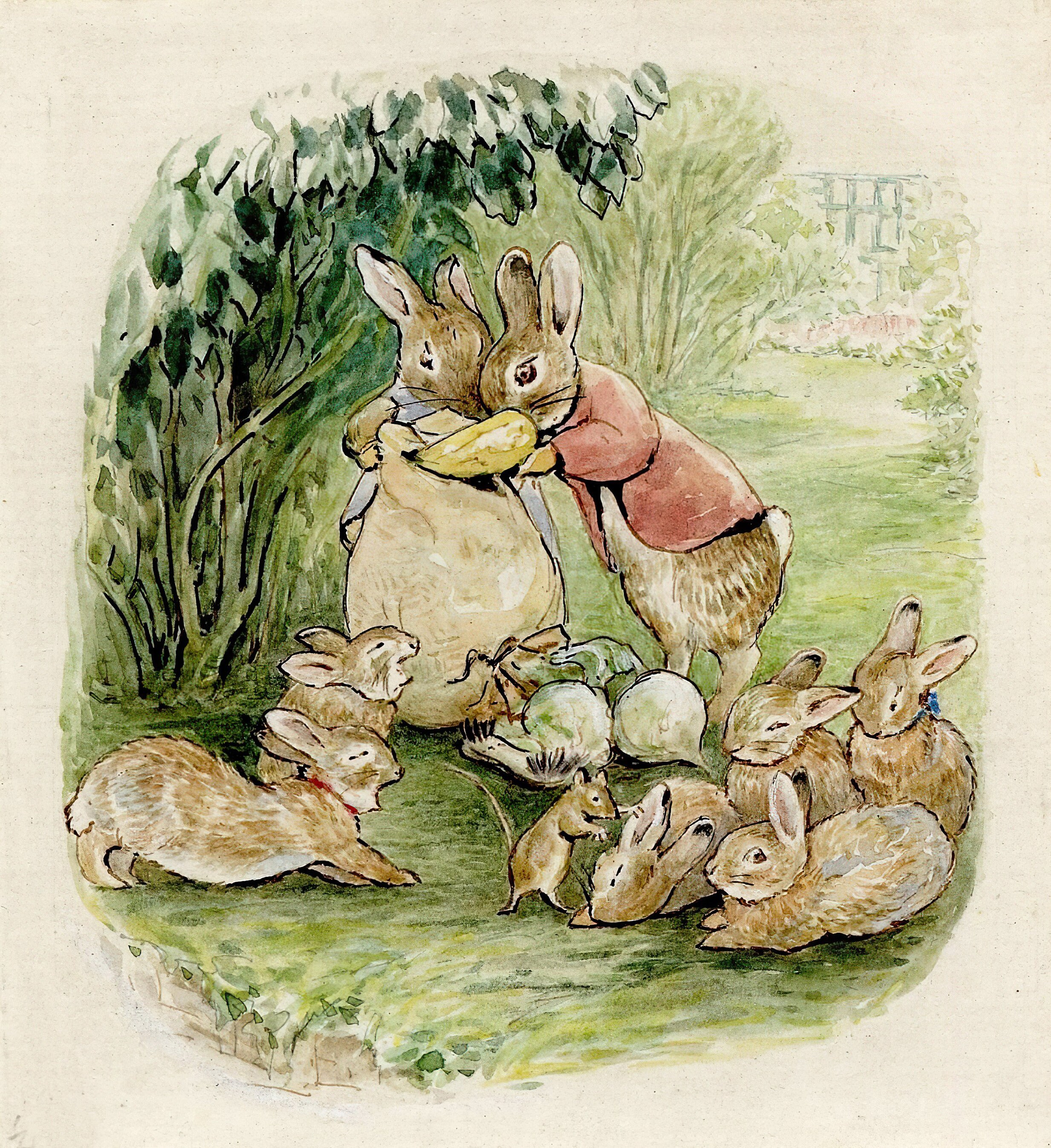 Pierre Lapin Beatrix Potter Dessin Beatrix Potter. Le conte des lapins flopsy. Imprimer sur - Etsy Canada