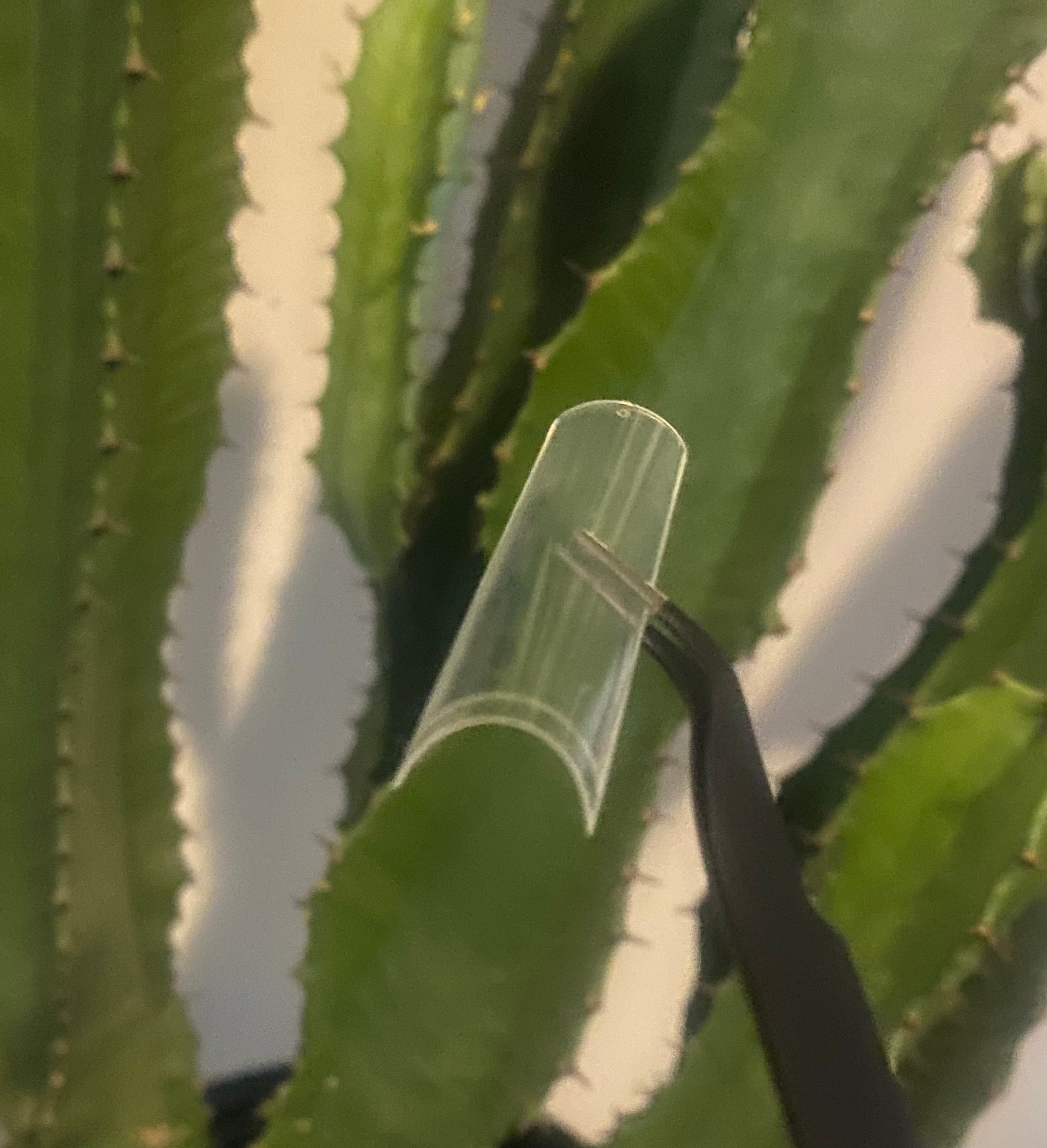 500 Stück XXL Nagelspitzen Quadratisch – Keine C-Kurve, Transparent, Für Nageldesign Zuhause