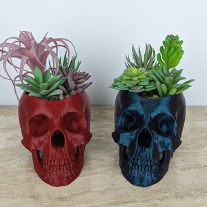 Skull Planter, Succulent Pot, Realistic, Spooky, Halloween, 3D Printed image 4